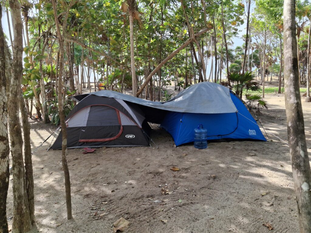 happen manatee campsite